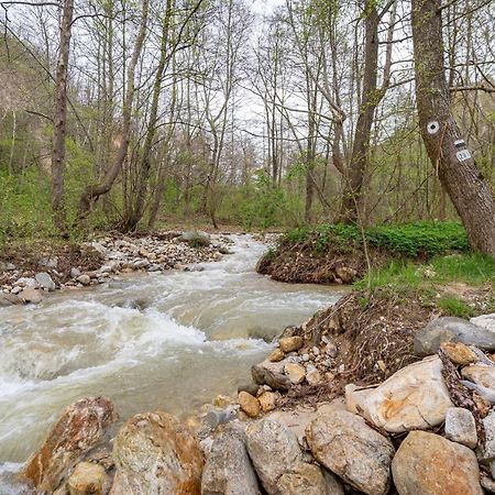 Hotel Rechen Rai Melnik  Zewnętrze zdjęcie