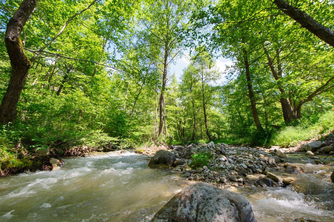 Hotel Rechen Rai Melnik  Zewnętrze zdjęcie